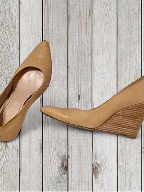 Classic Tan Pointed-Toe Wedge Pumps - Women's